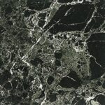 black-zebra-marble